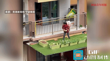 “太吓人了！”重庆，一位老人用背篓背着小孩在三楼简易的棚顶摘青菜，她弯腰的时候，