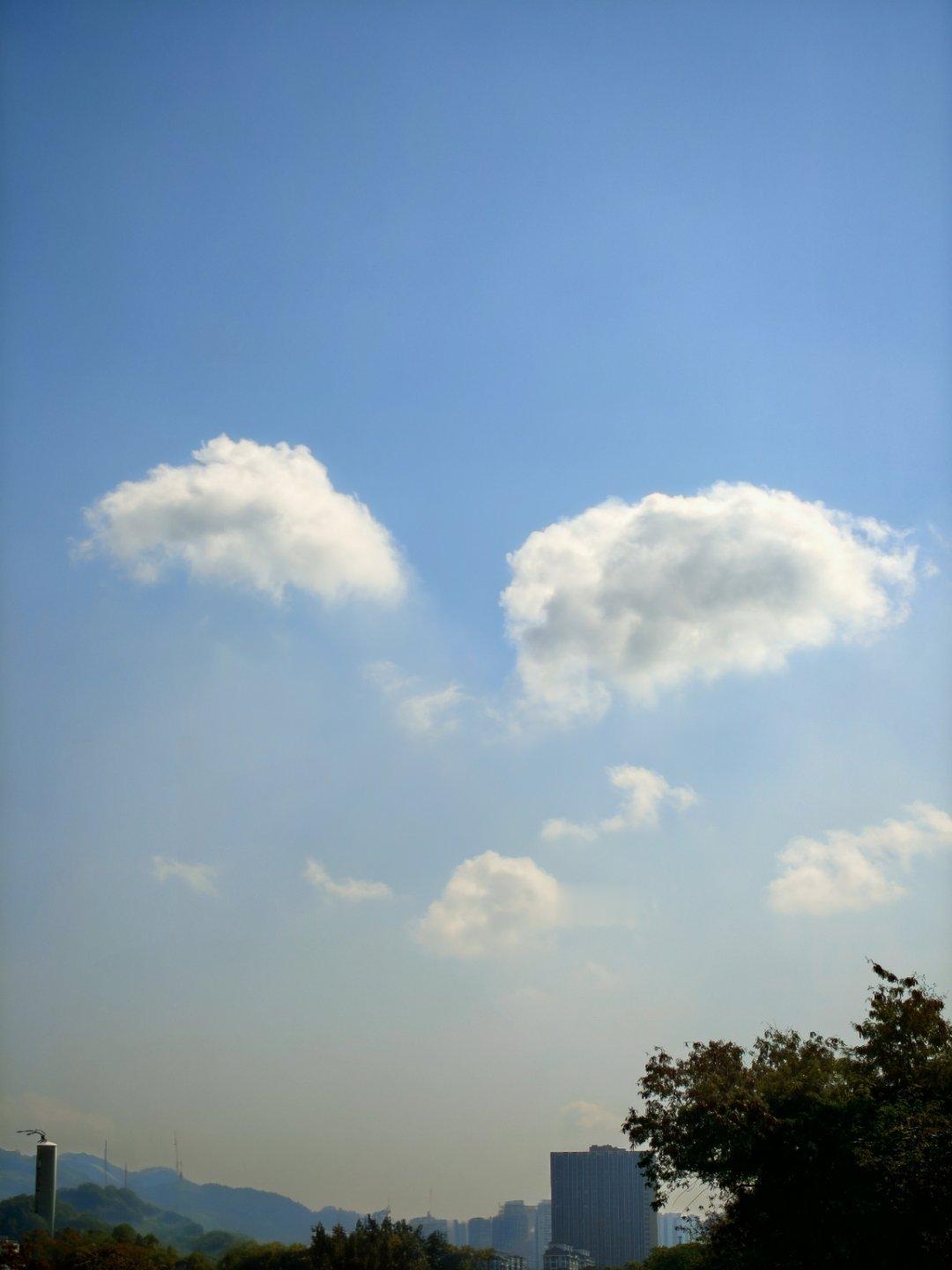 天气不错一个笑脸送给大家