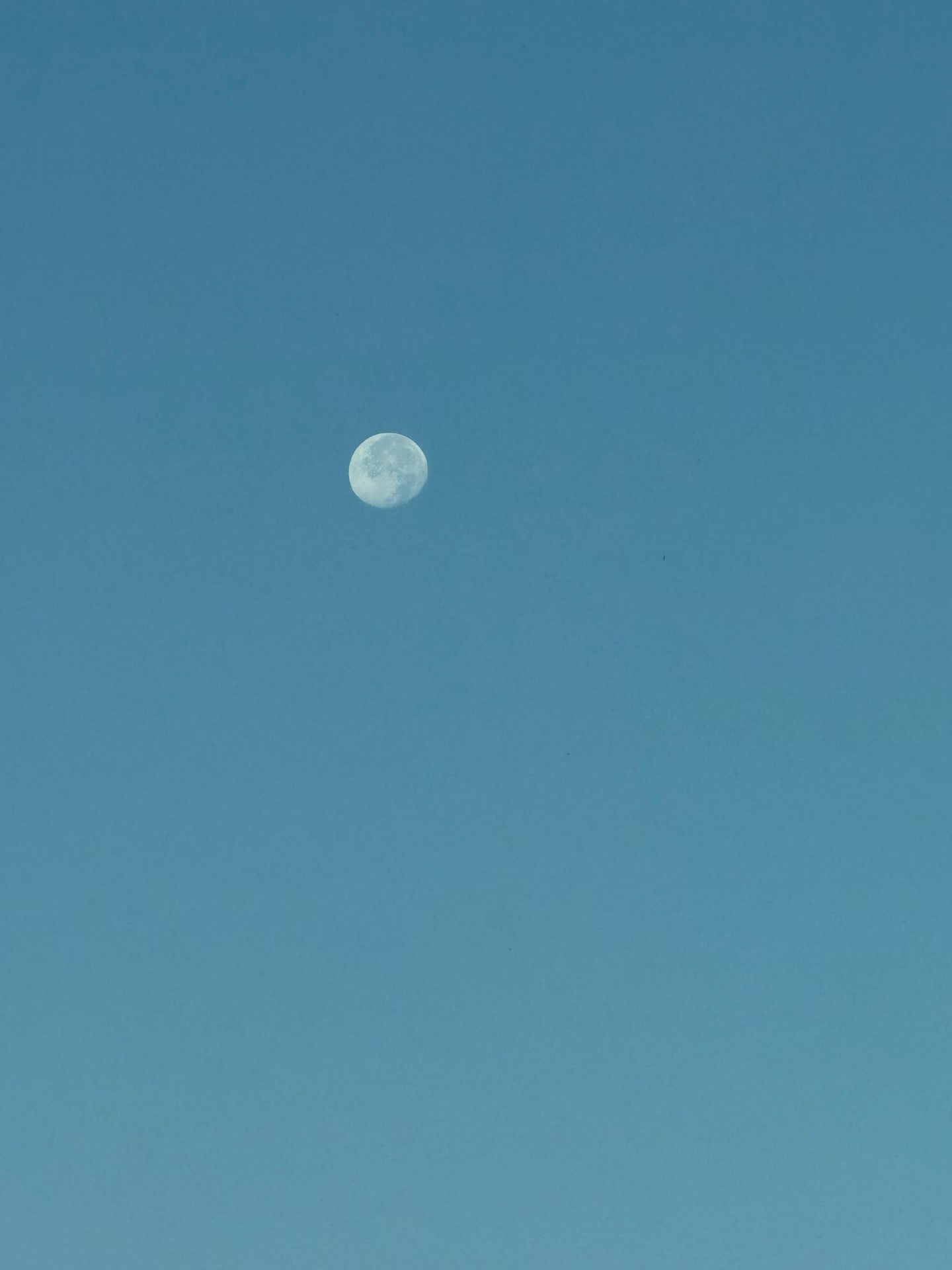 日月同辉八月