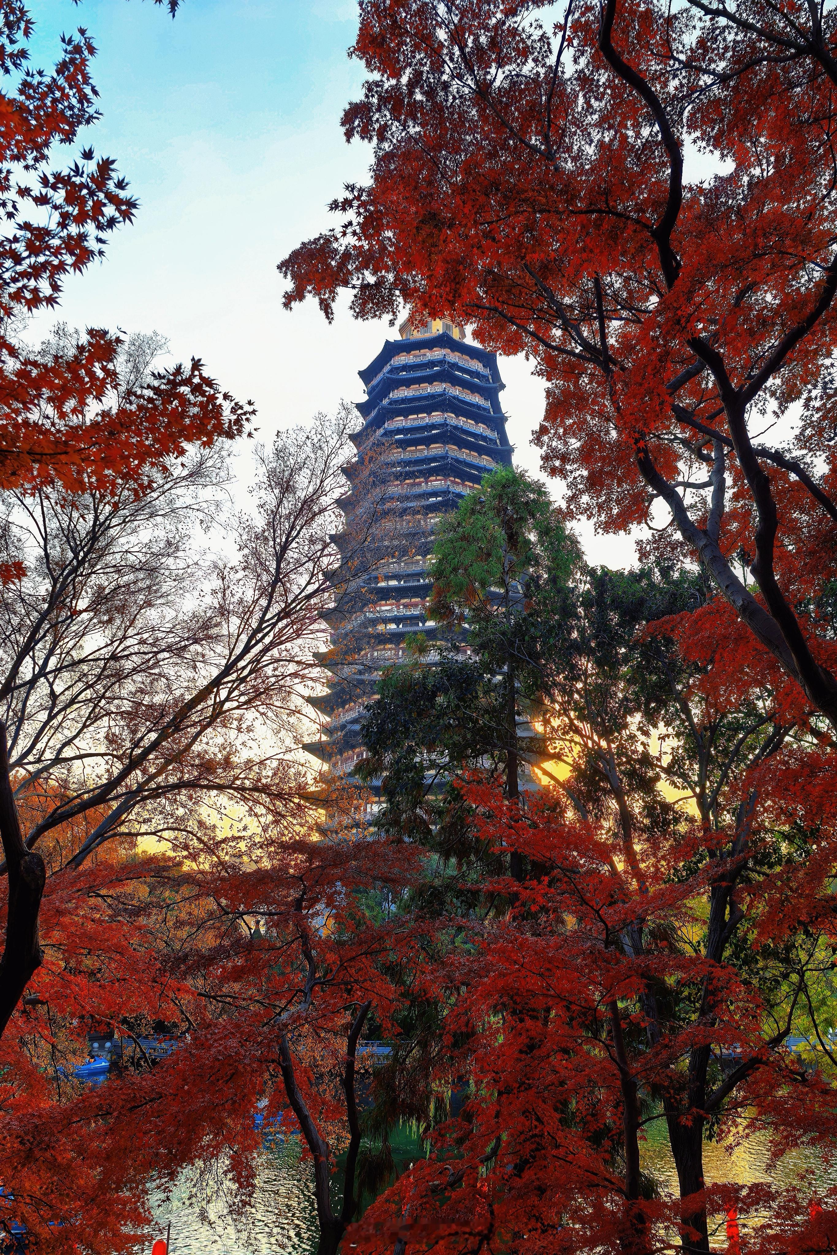 焦糖色的秋🍁 常州·红梅公园