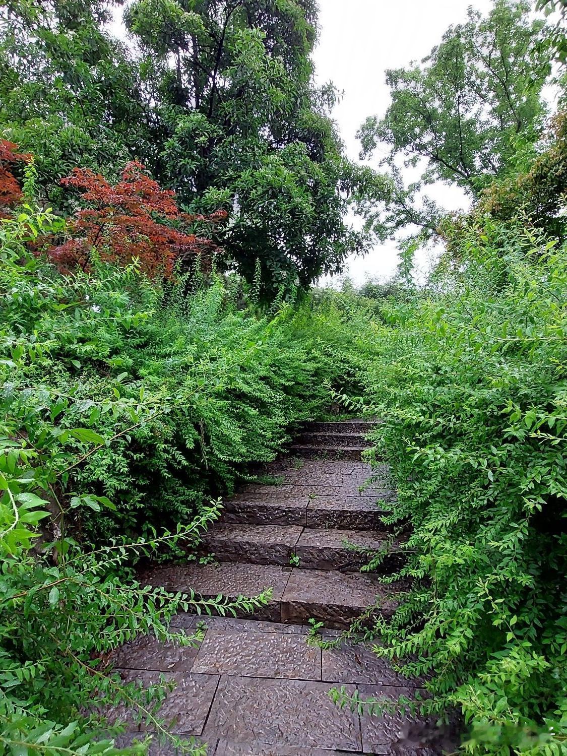 🌿南门驿站秘境｜私藏马鞍山森林徒步路线

谁说森林公园只有徒步？南门驿站附近的