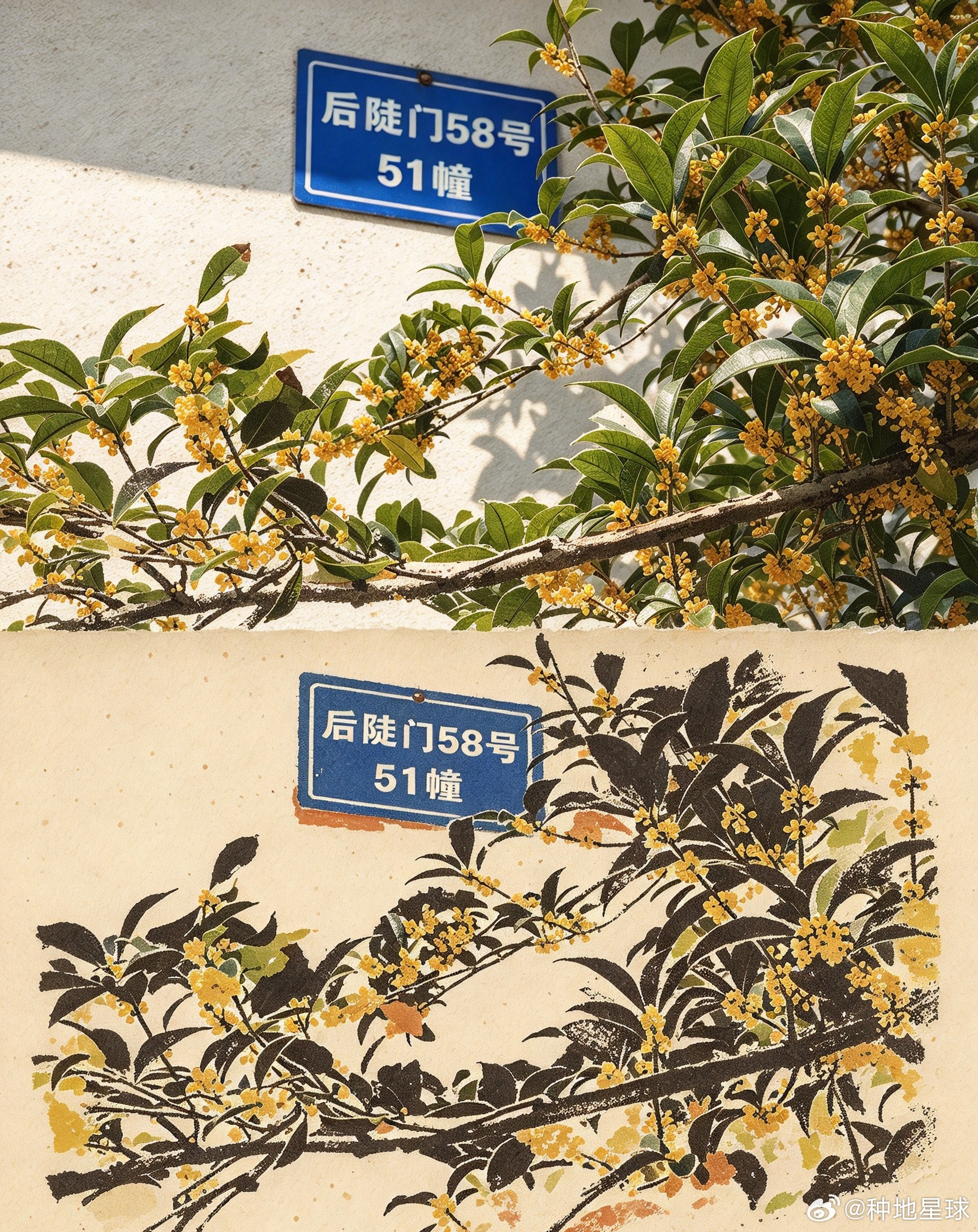 一半后陡门，一半画~静静站在这片土地上被插画一样的风景治愈着 无数次💕种地星球