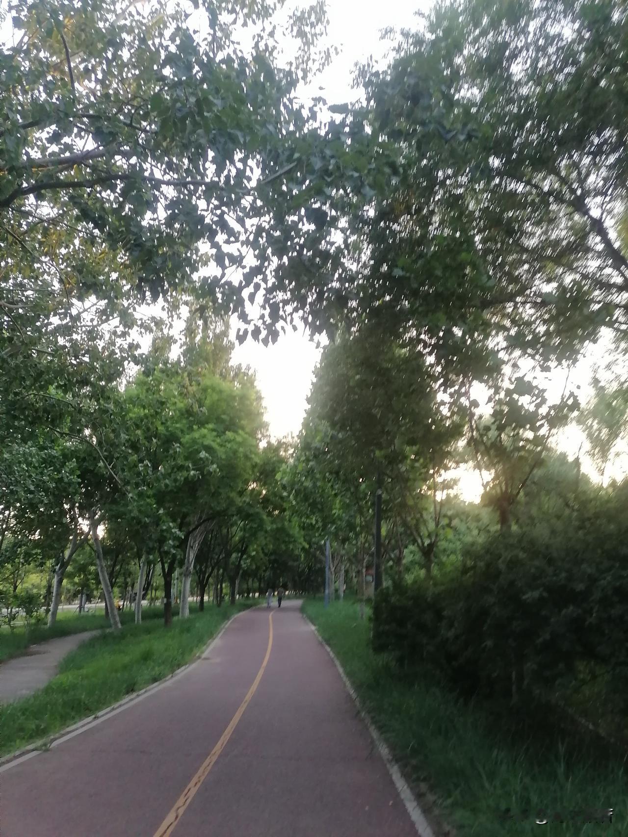 曹雪芹在《红楼梦》里描写的烹调食谱，点心饮料，宴会场景，无不精妙异常，令人叹服，