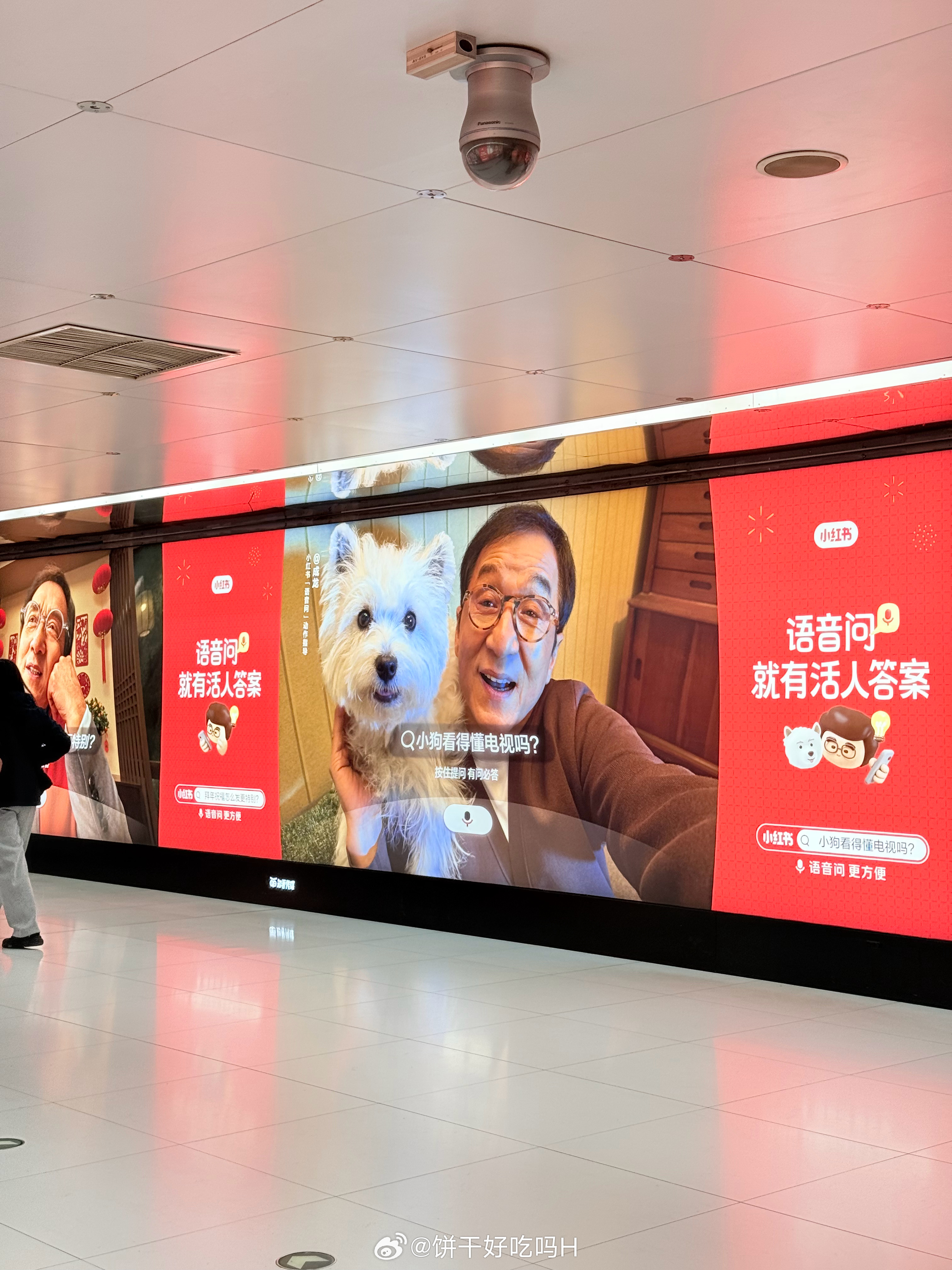 任豪POI 任豪 请回答 小狗看的懂电视嘛