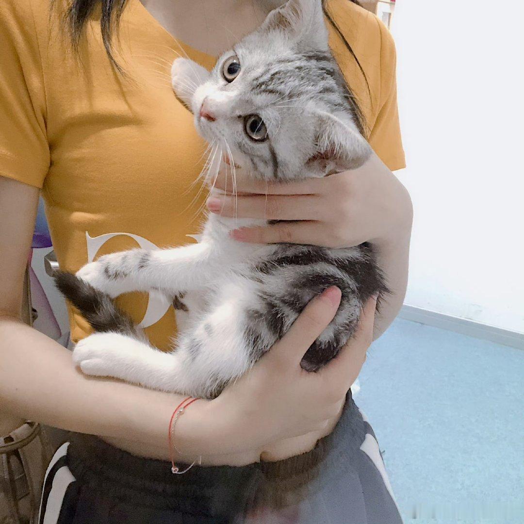 🍊鞠婧祎姜黎非 🍊鞠婧祎千香 “是心之所向 亦是永久珍藏” 𝐈𝐭 𝐢?