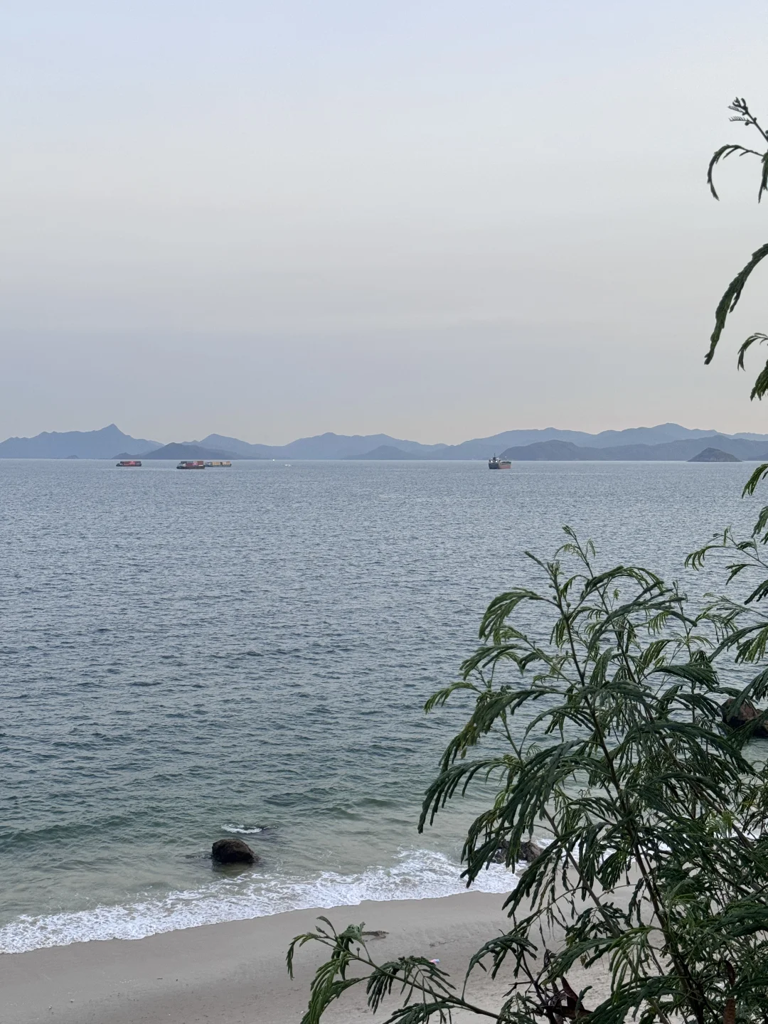 在深圳真的好幸福！又有一条新开的海边栈道