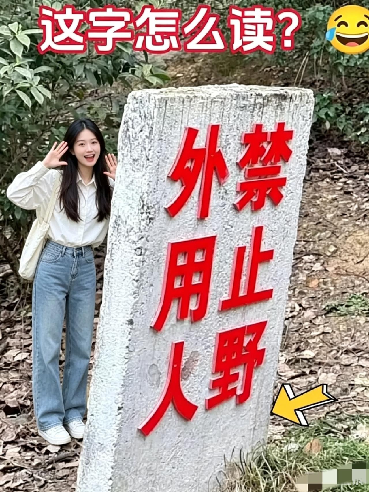 没文化，真可怕！石头上这几个字看了半天没看明白！这字到底该怎么读？求高手解答！[