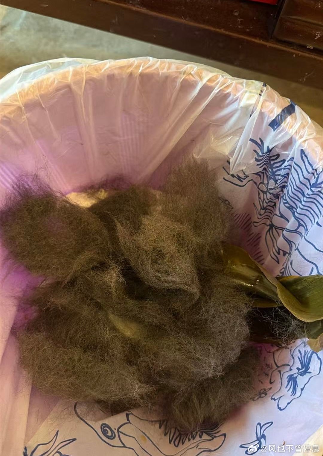 我妈真的打算做狗毛衫要不还是算了吧感觉凑凑的 