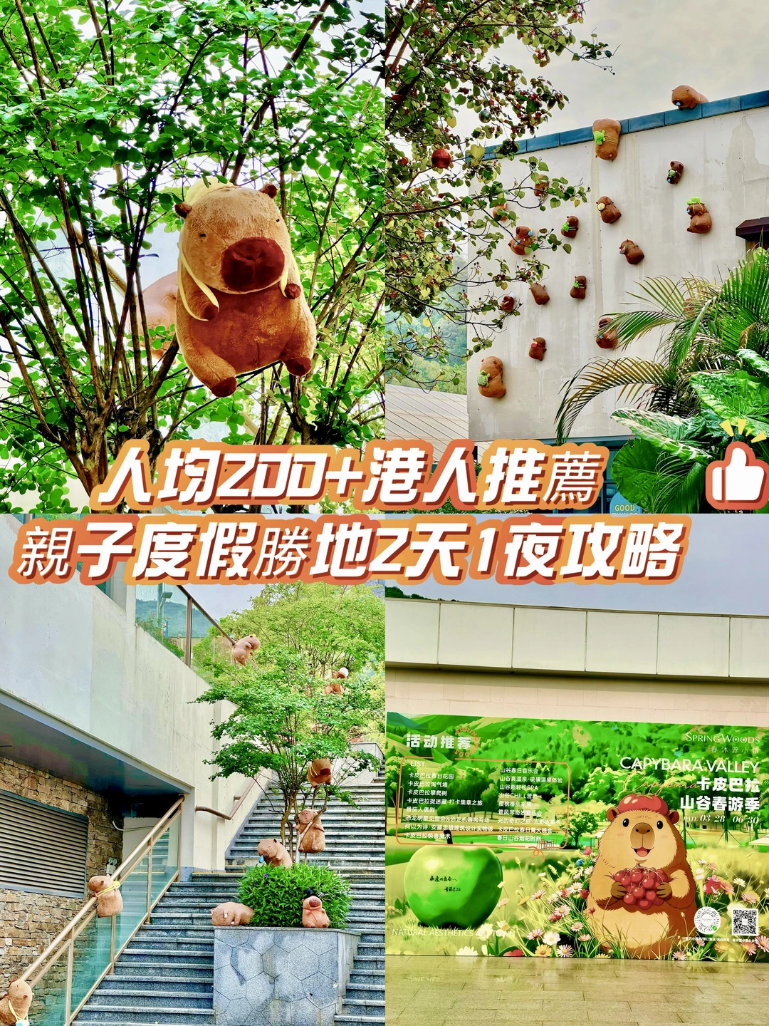 人均200+港人推薦親子度假勝地2天1夜攻略✅