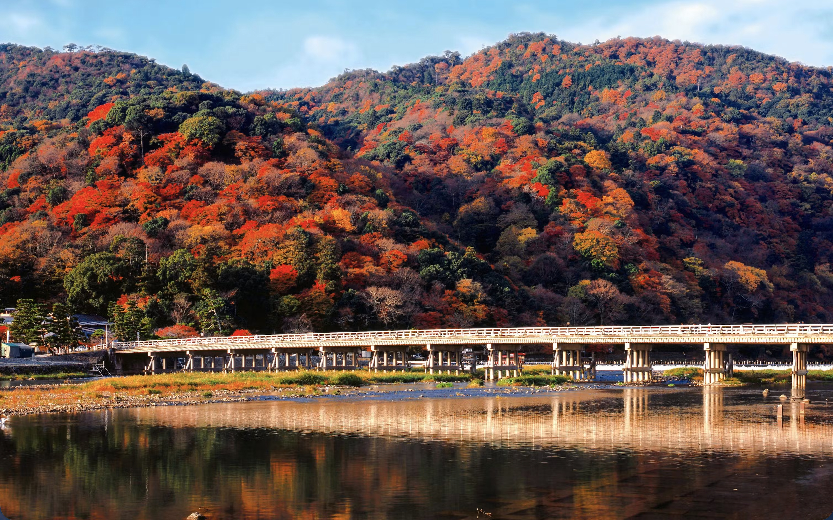 藤原祐家“散りまがふ嵐の山のもみぢ葉はふもとの里の秋にざりける”（岚山的红叶萧萧