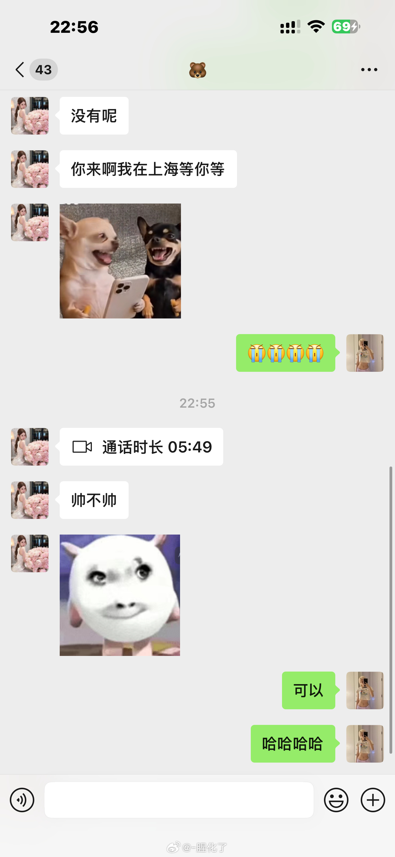 呵呵女人 挂完视频就问我 她的crush帅不帅[二哈] ​​​