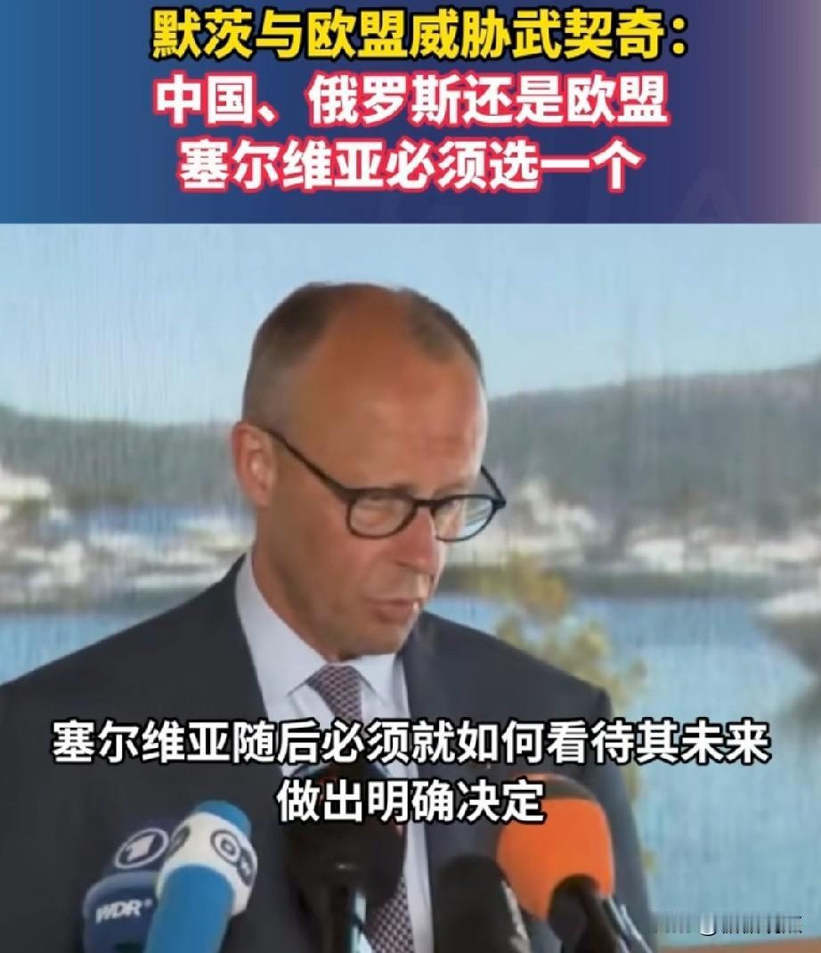 塞尔维亚在没有收回科索沃的情况下，是不适合加入欧盟的。
毕竟欧盟支持科索沃，选了