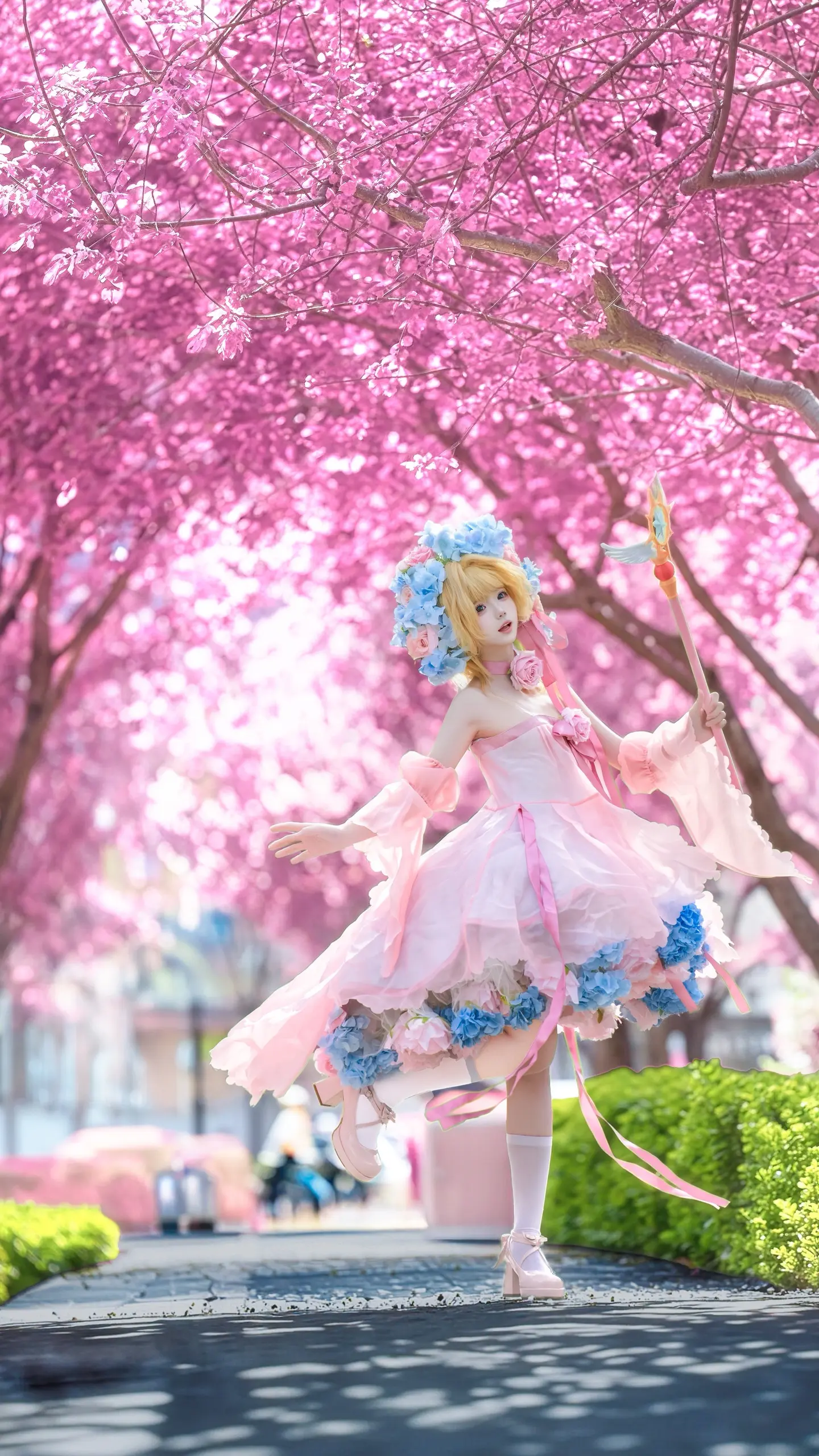 樱花飘落，我在等你。