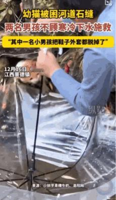 好样的！江西景德镇。一只小猫被卡在了石缝里不知道多久了。这时候有两个小朋友路过这