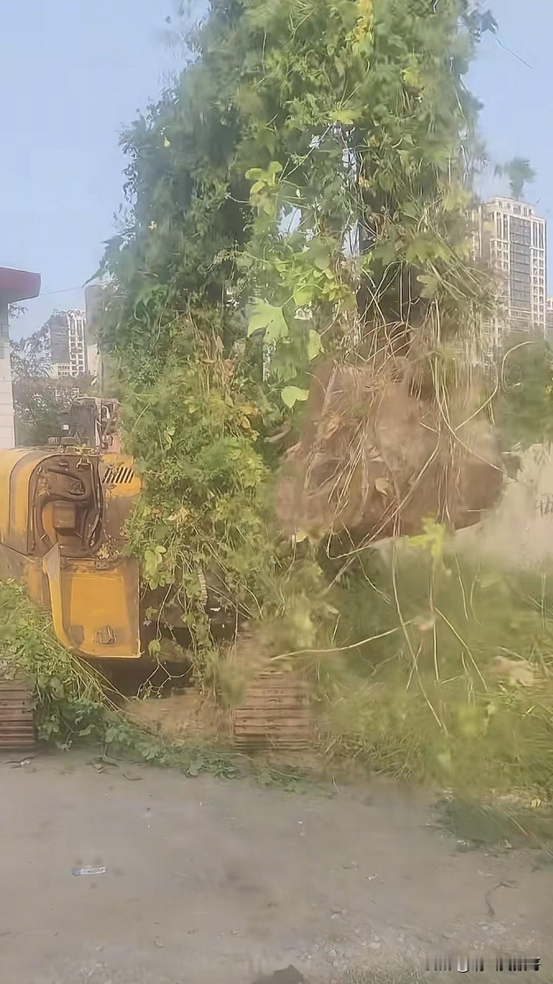 封印多年，今日重出江湖