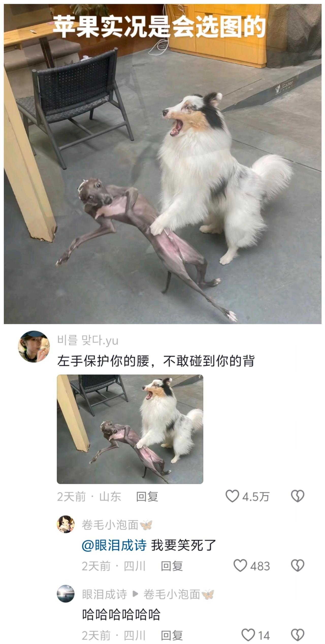 脑洞这块还得是网友😂 ​​​