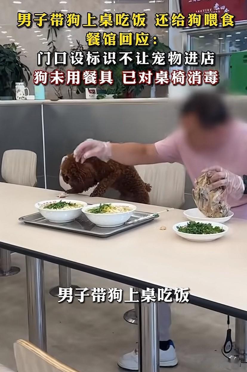 又是一起狗上桌吃饭事件，为啥这样的事情频频发生。明知饭店门口标有“禁止宠物进店”