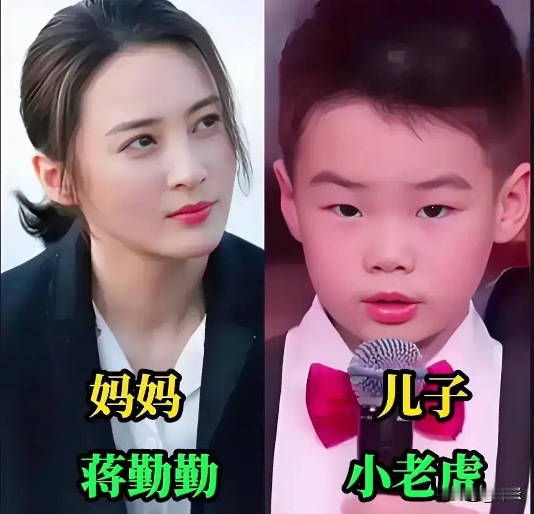 叶一茜母子俩——基因太强大
霍思燕母子俩——基因太强大
曹颖母子俩——基因太强大