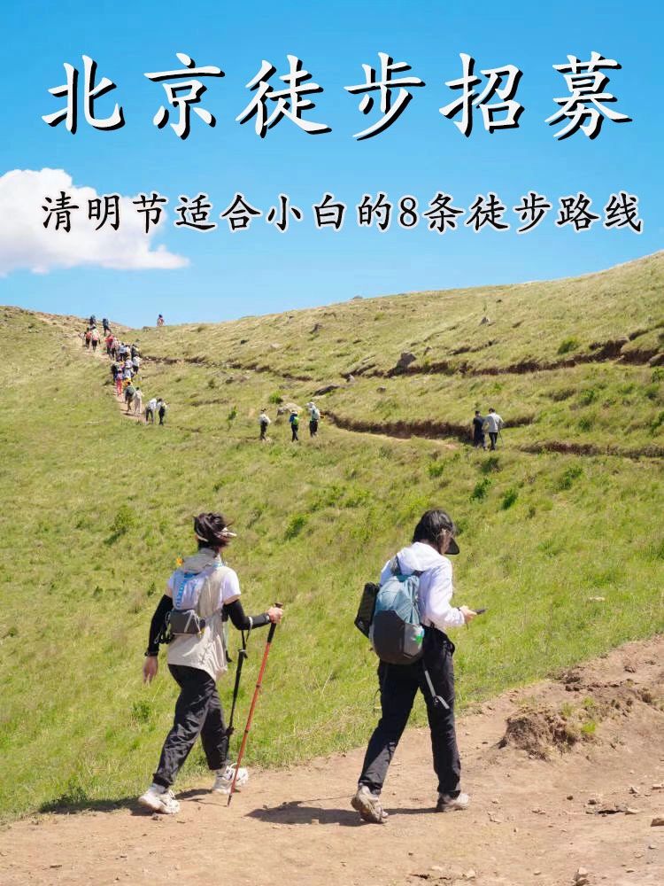 清明节➕周末好去处📌小白可冲