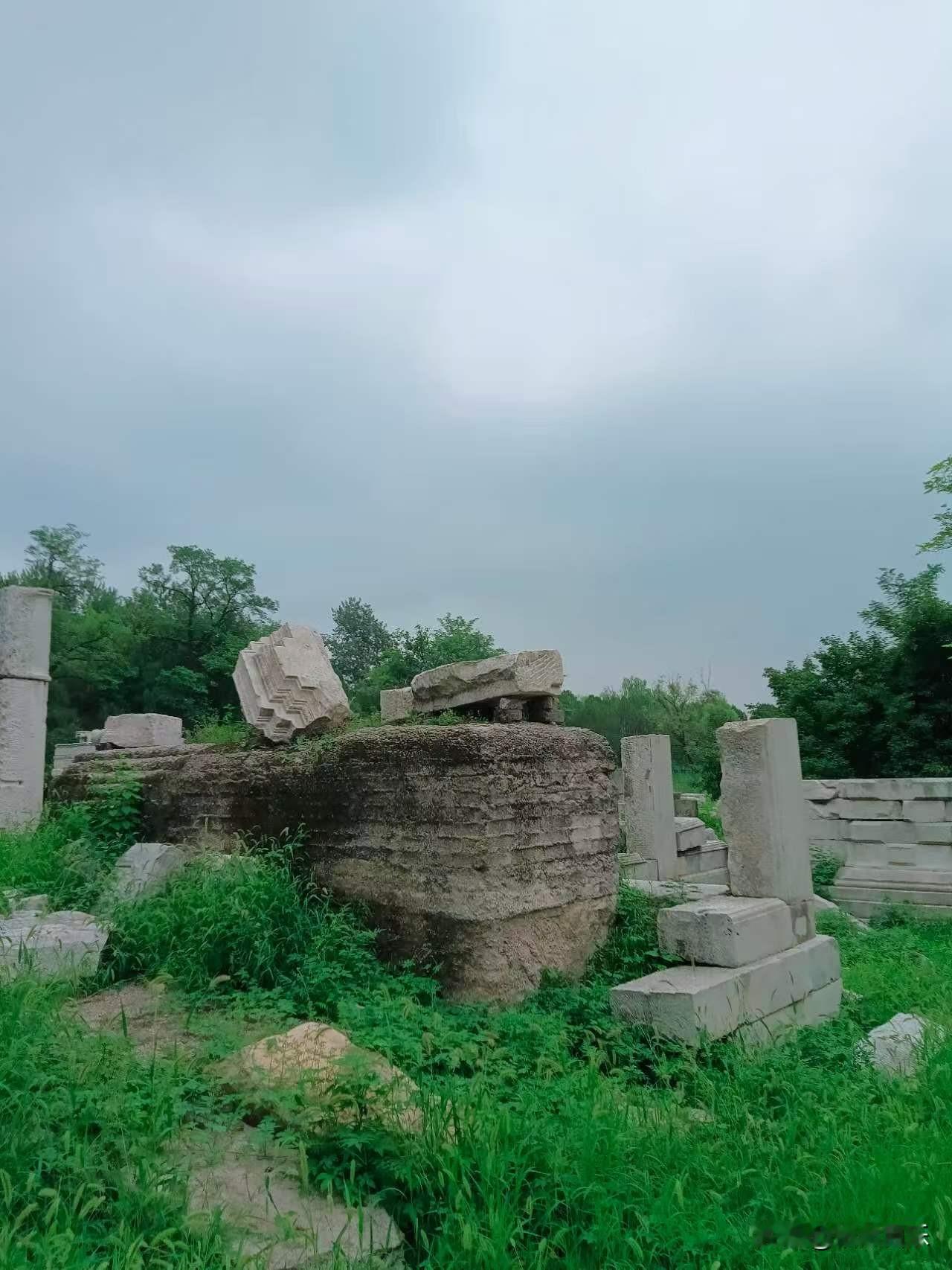 城市里的小孩为什么那么喜欢小狗?狗狗可爱，又可以做伙伴玩，城市里各管各家，外面也
