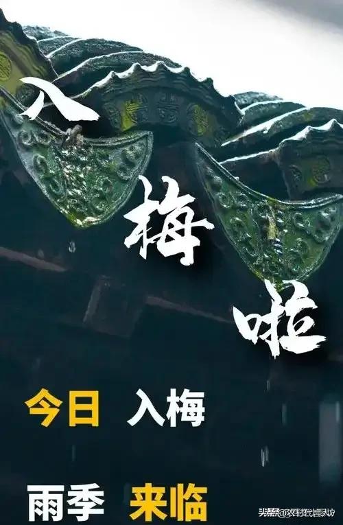 入梅后，提醒中老年：1不睡、2不喝、3不做，养阳祛湿，安康度夏
 
梅雨季一到，
