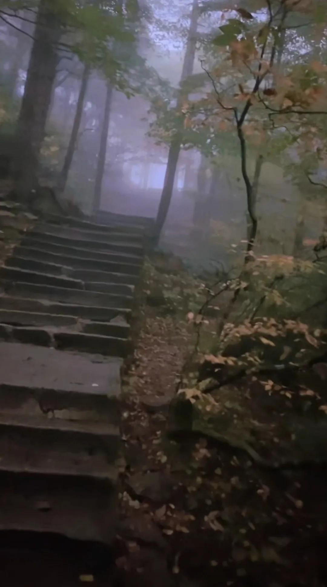 雨中的黄山上山路，云雾缭绕，宛如仙境中的神秘通道。雨滴轻轻洒落，敲打着石板，似在