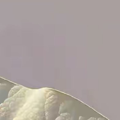 一缕稀薄的光，穿窗而来，射中茶盏和我，细碎的小漪，无需更多解释。我单一的心跳，划