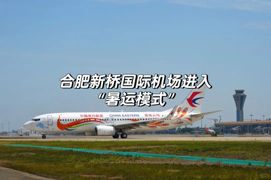 合肥机场已全面启动“暑运模式”，为期 62 天！