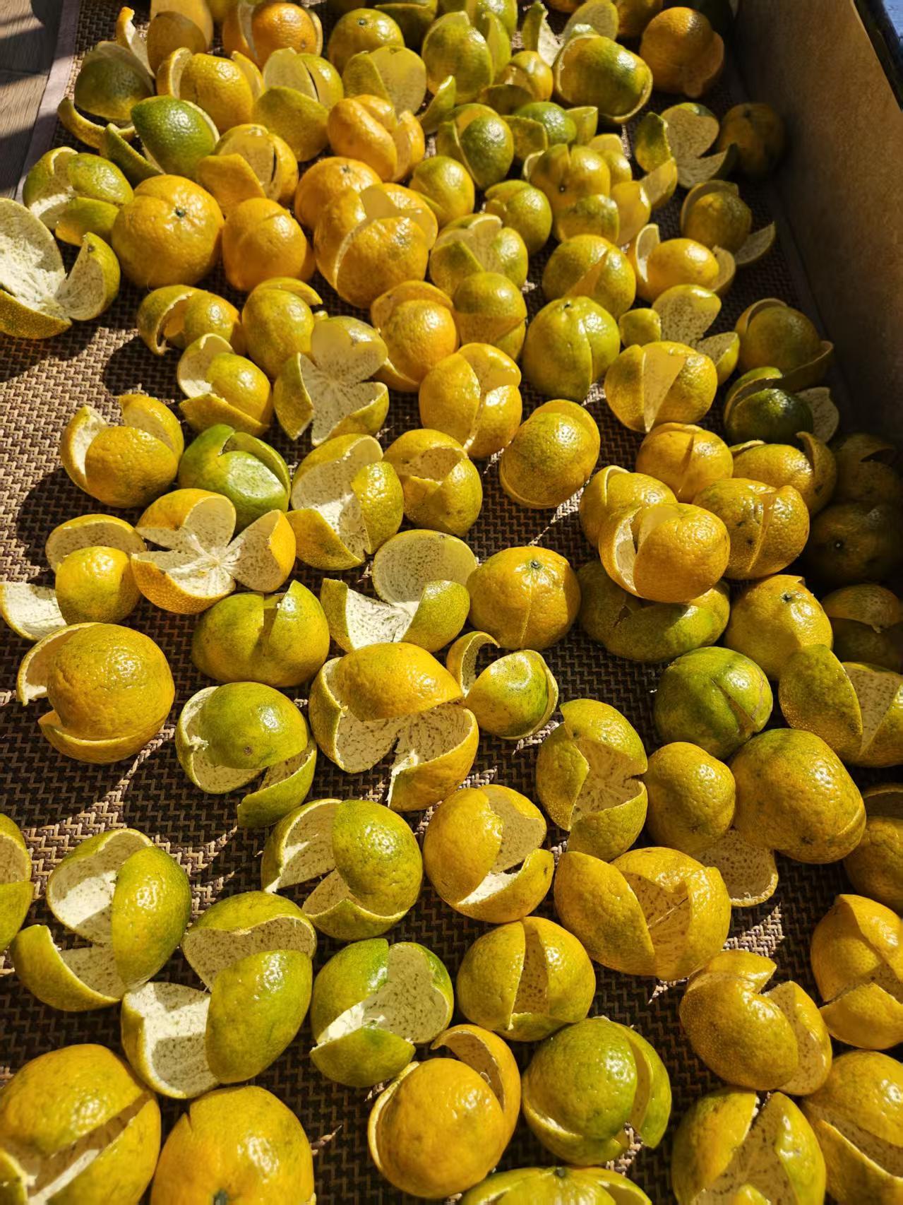 夫人就是喜欢捣鼓这些要动手和废些精力的活，昨天从江门新会采摘的，用来做陈皮。果肉