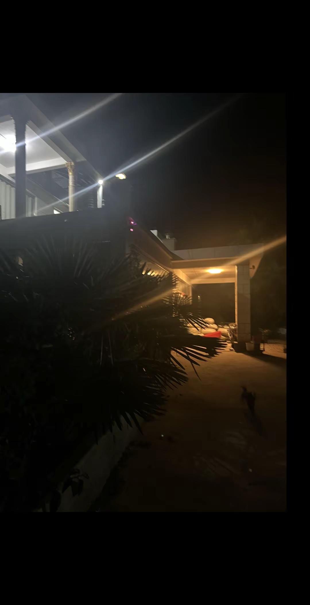 九九重阳节。重阳小院晚风柔，棕榈摇影伴清秋。祈愿人间双亲老，安康无扰岁长久。重阳