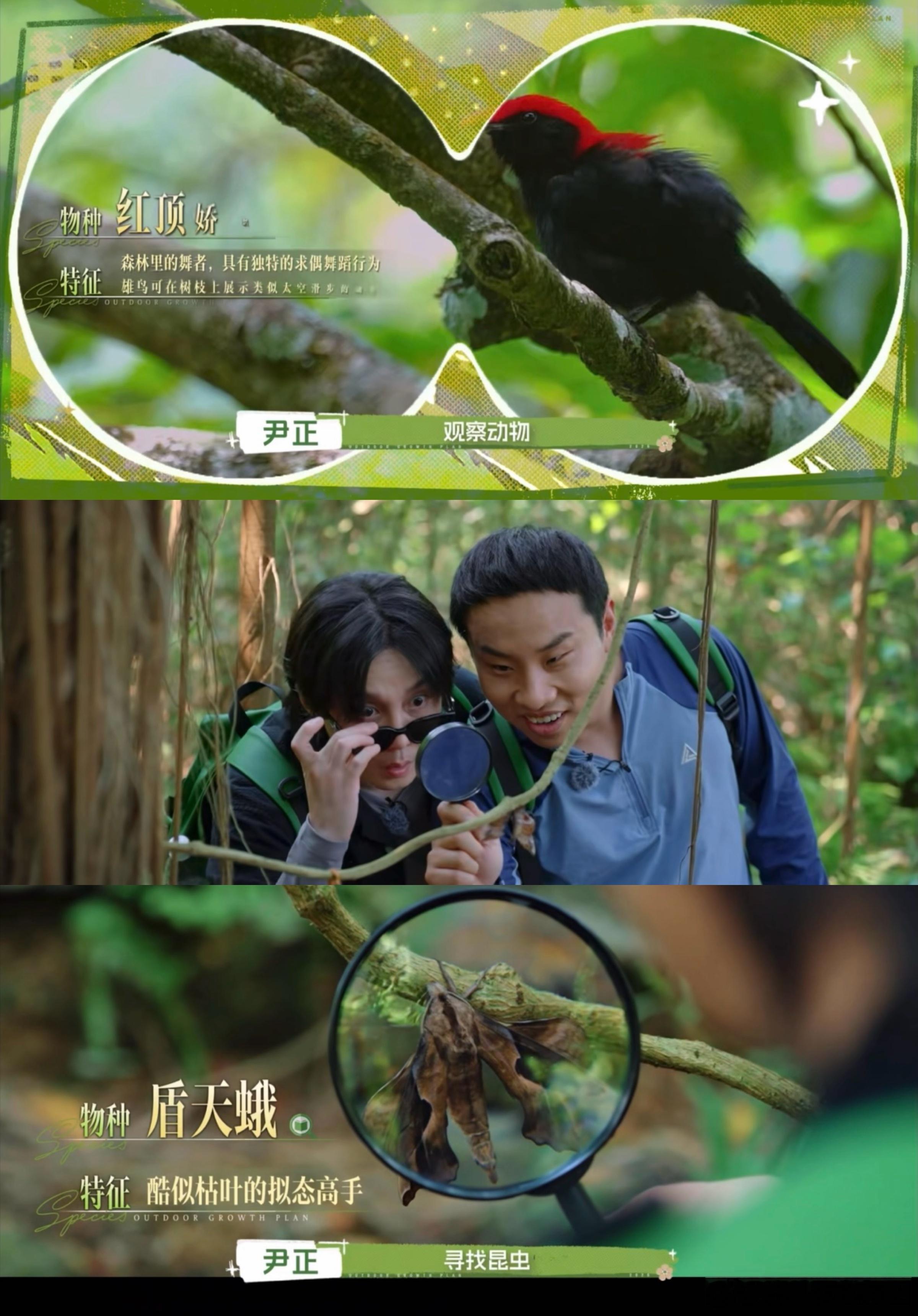 尹正徐志胜做了一档花少 花少同款出行模式全新改版，尹正善于挖掘旅途温柔细节，徐志