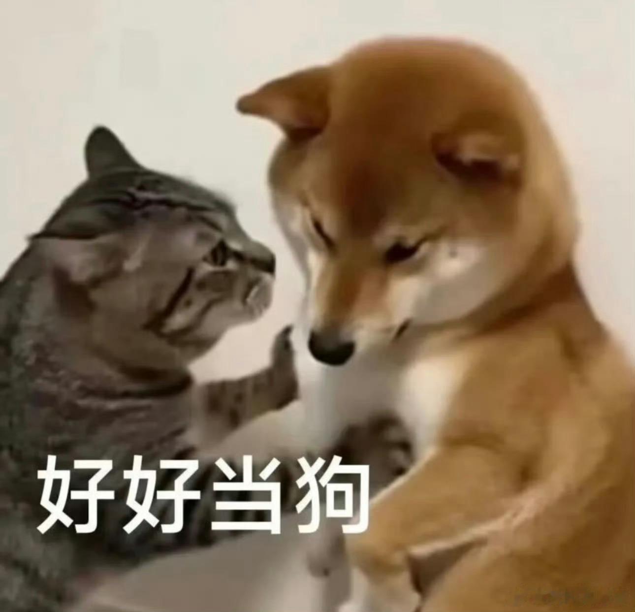 谁来言说夜晚有声剧 不是，到底谁教你们这么宣发的啊！！！！真的勾引到我了哈哈哈哈