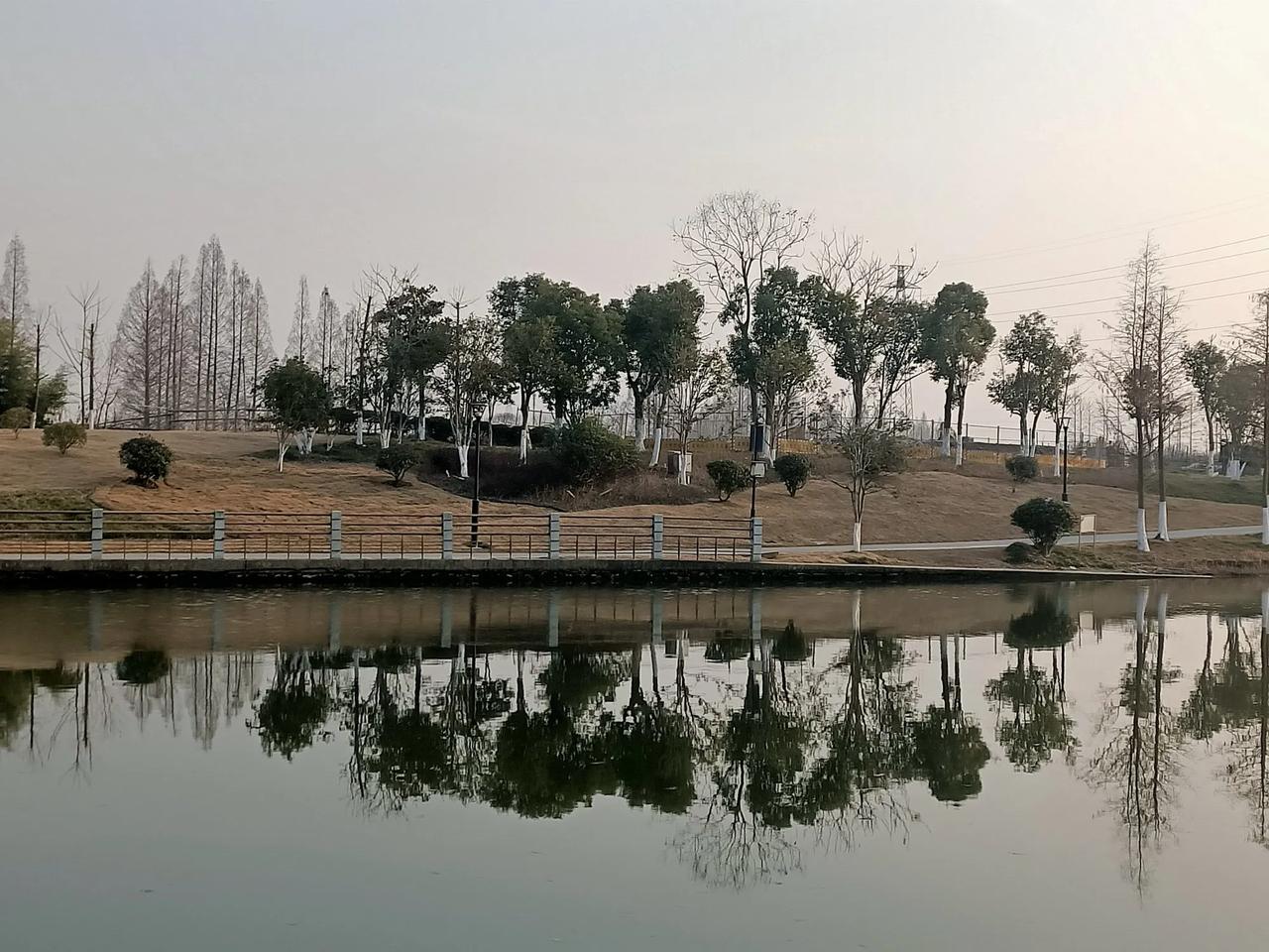 晒图笔记大赛今暖阳，河边散步。河水清澈，手机随拍