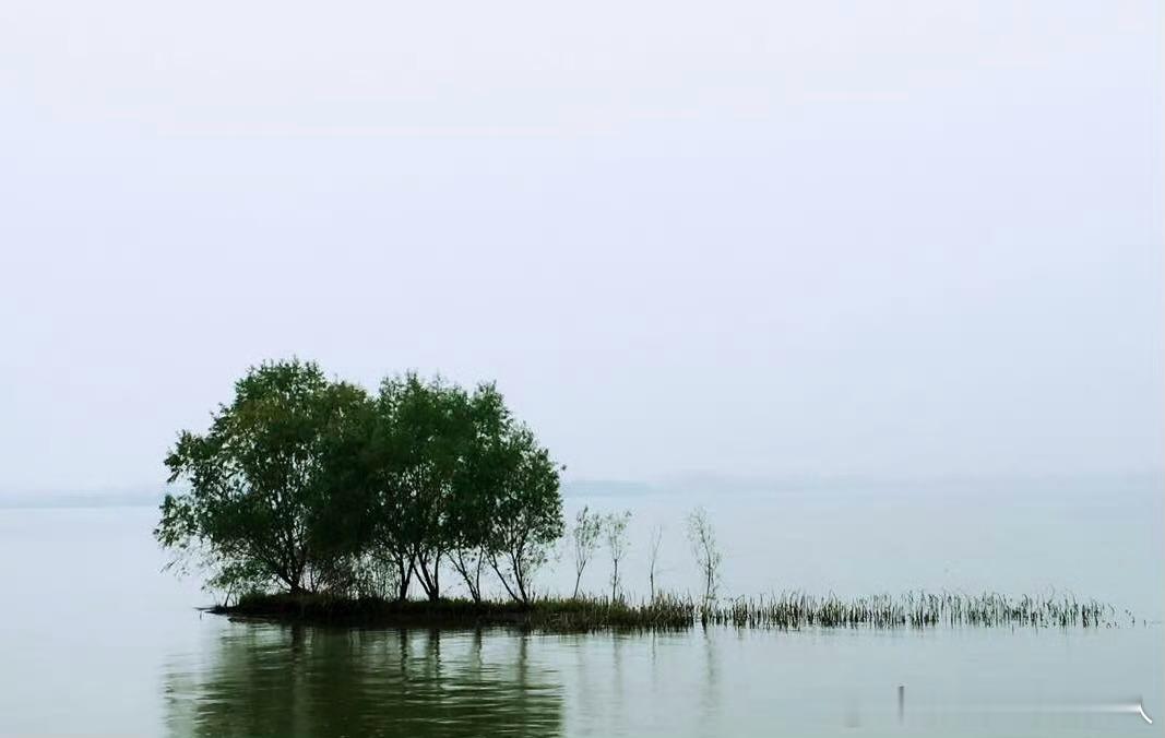 死心未必延年久，闭眼安能万事休。生命不只呼吸在，文章浩气永长流。        