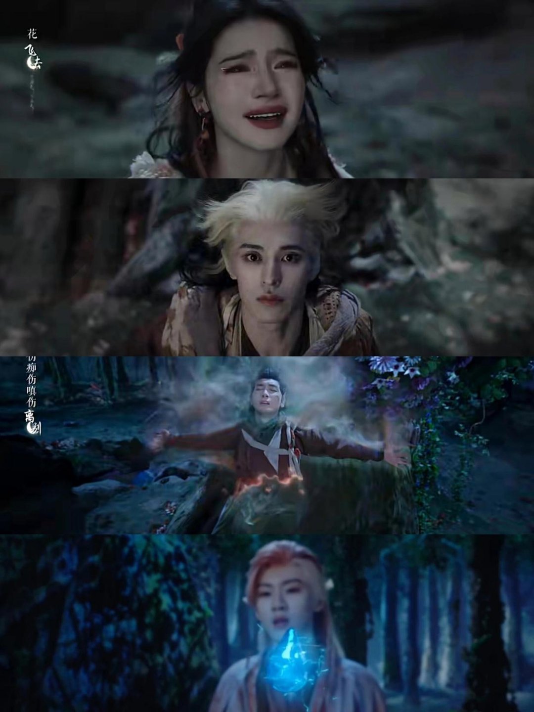 白月梵星，阿妩每次要献祭情树🥀就有人替她进去🌳【白月梵星】狐族篇🦊阿妩把弱