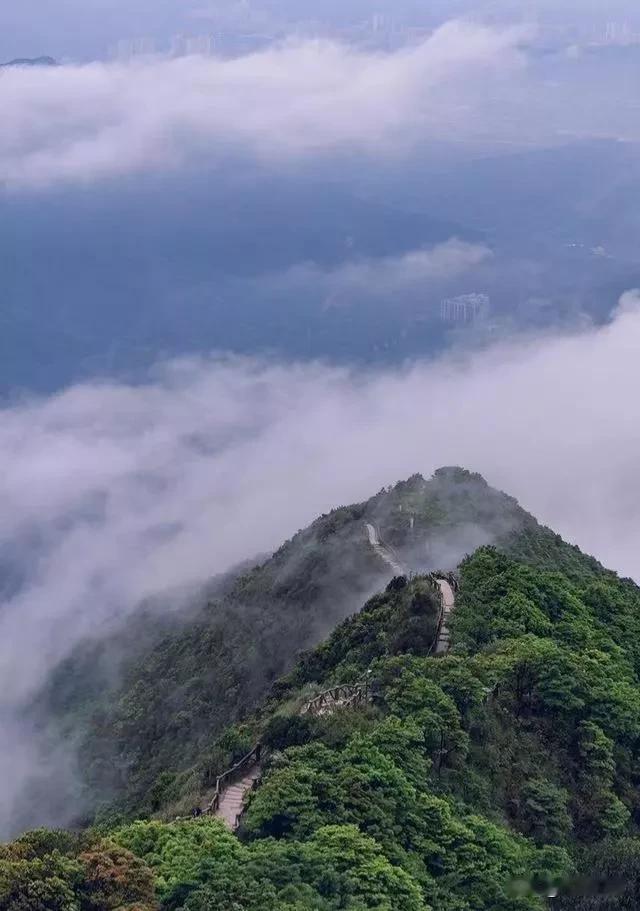 在人生的浩渺海洋中，群山如波涛般起伏，连绵不绝。

岁月的长河在四季的轮转中流淌