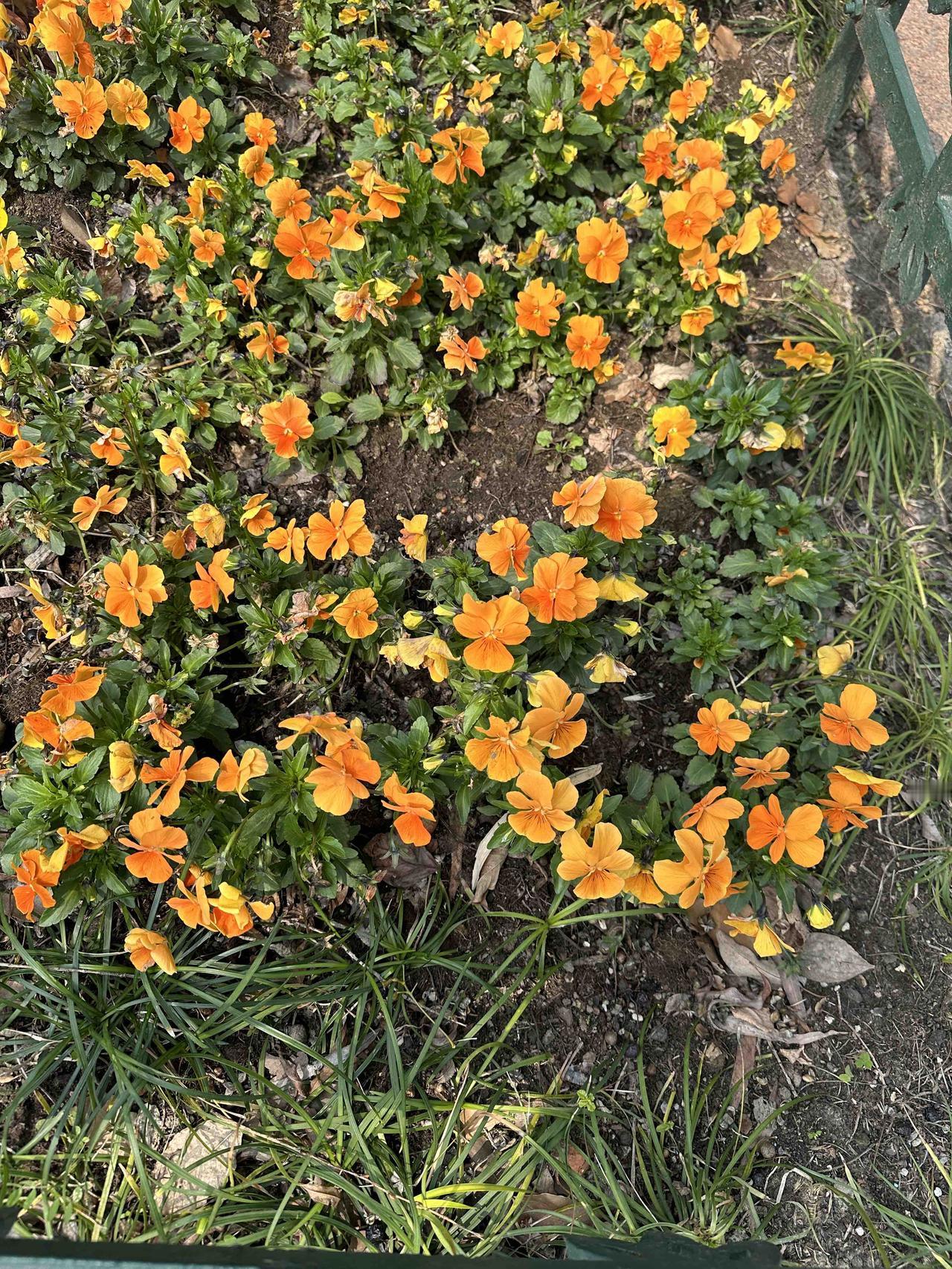 人到一定年龄才明白：养身体不如先养“病根”，这七条把中年人的命门掐准了。

下面