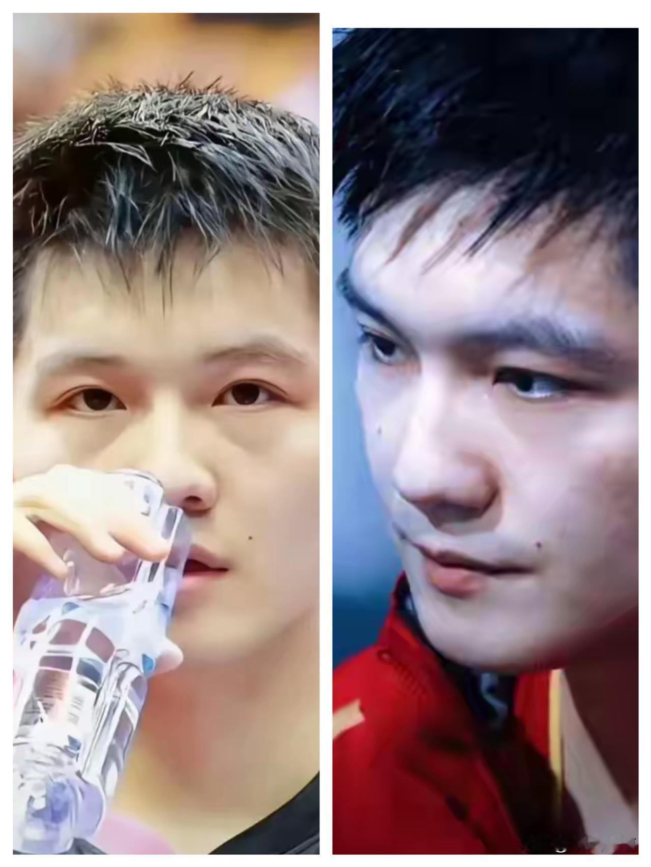 樊振东才是内娱该追的顶流！一年拿下五大荣誉，从市长颁奖到国家认证，实力、品格、担