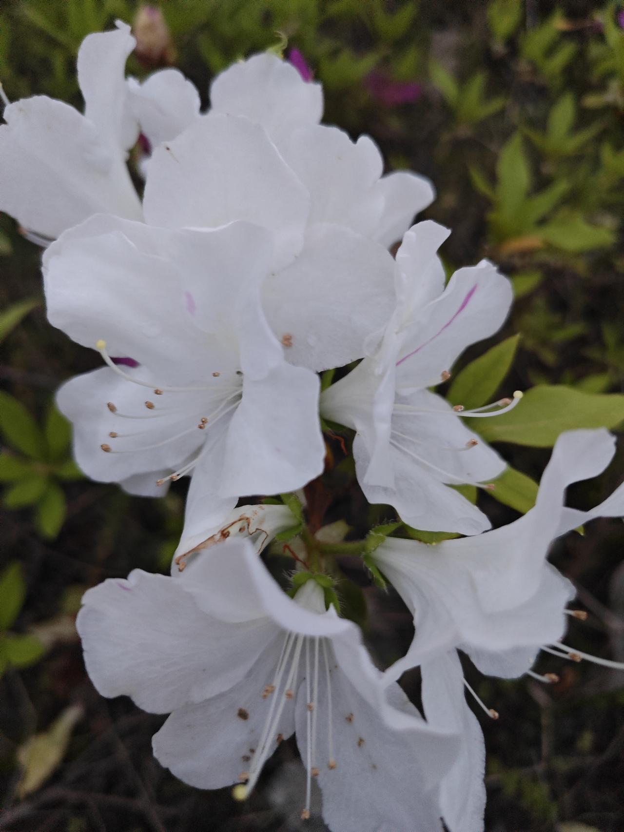 你天天玩命续命，身体却越来越差？
真相扎心：活得“少”，才叫真养生。

少吃，别