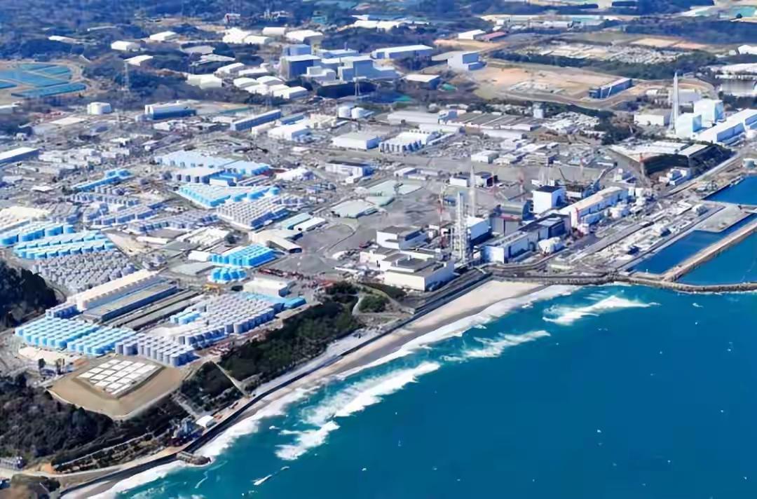 日本水产出局，印度狂喜接盘？14亿中国人只认一个标准！
 
中方暂停日本水产品进