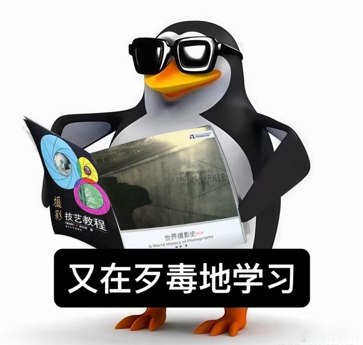 现在手机视频清晰度、防抖已经做的很强，但暗光画质、顺滑长焦变焦、收音等方面依然有