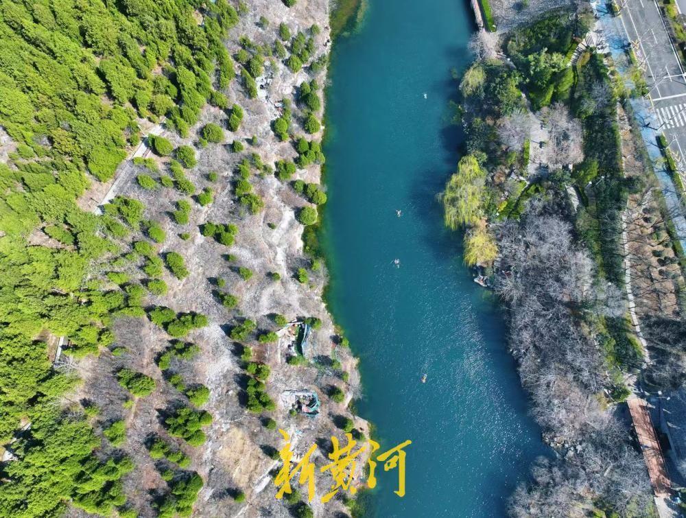 春日历阳湖宛若流动的翡翠带 成为济南市民踏春好去处-app/#/content?