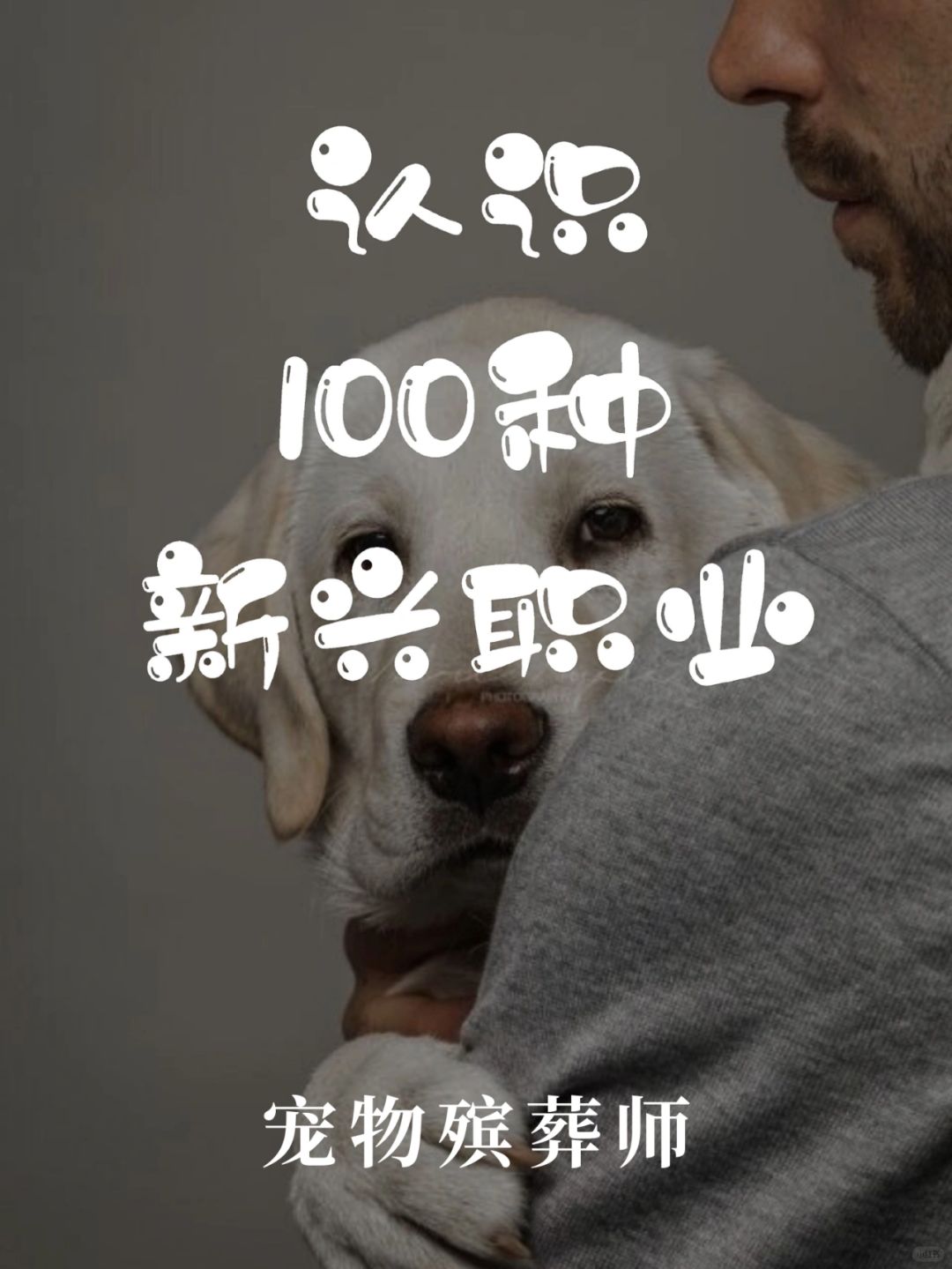 带你认识100种新兴职业·宠物殡葬师