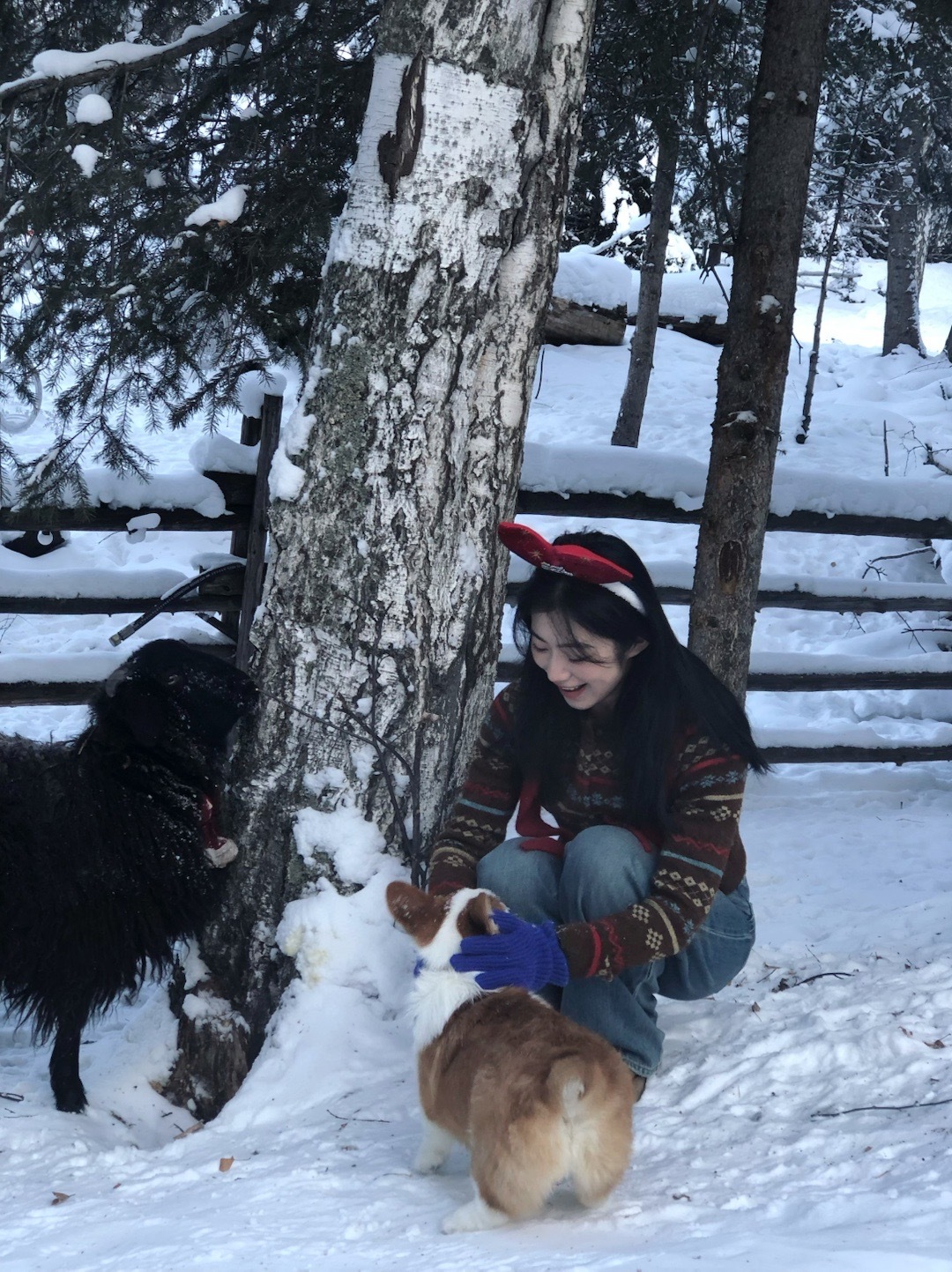 很幸福很开心的一天🥰实现了去年的愿望 雪地里过圣诞节🎄在白哈巴一家很多狗狗的