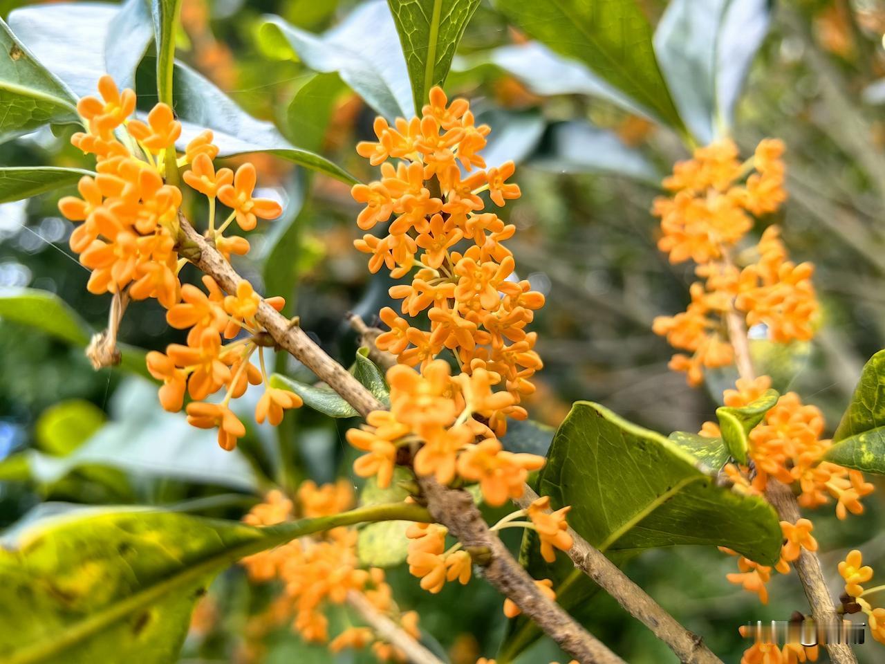 老年生活感悟：我们的年纪已经越来越大了，千万别纠结容貌衰老！分享3个调整心态的技