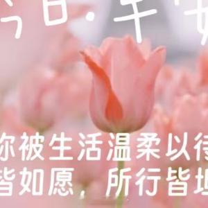 早安心语 生活是自己的、心情也是自己的、不被烦恼牵绊、只与快乐相伴、早上好🌞 