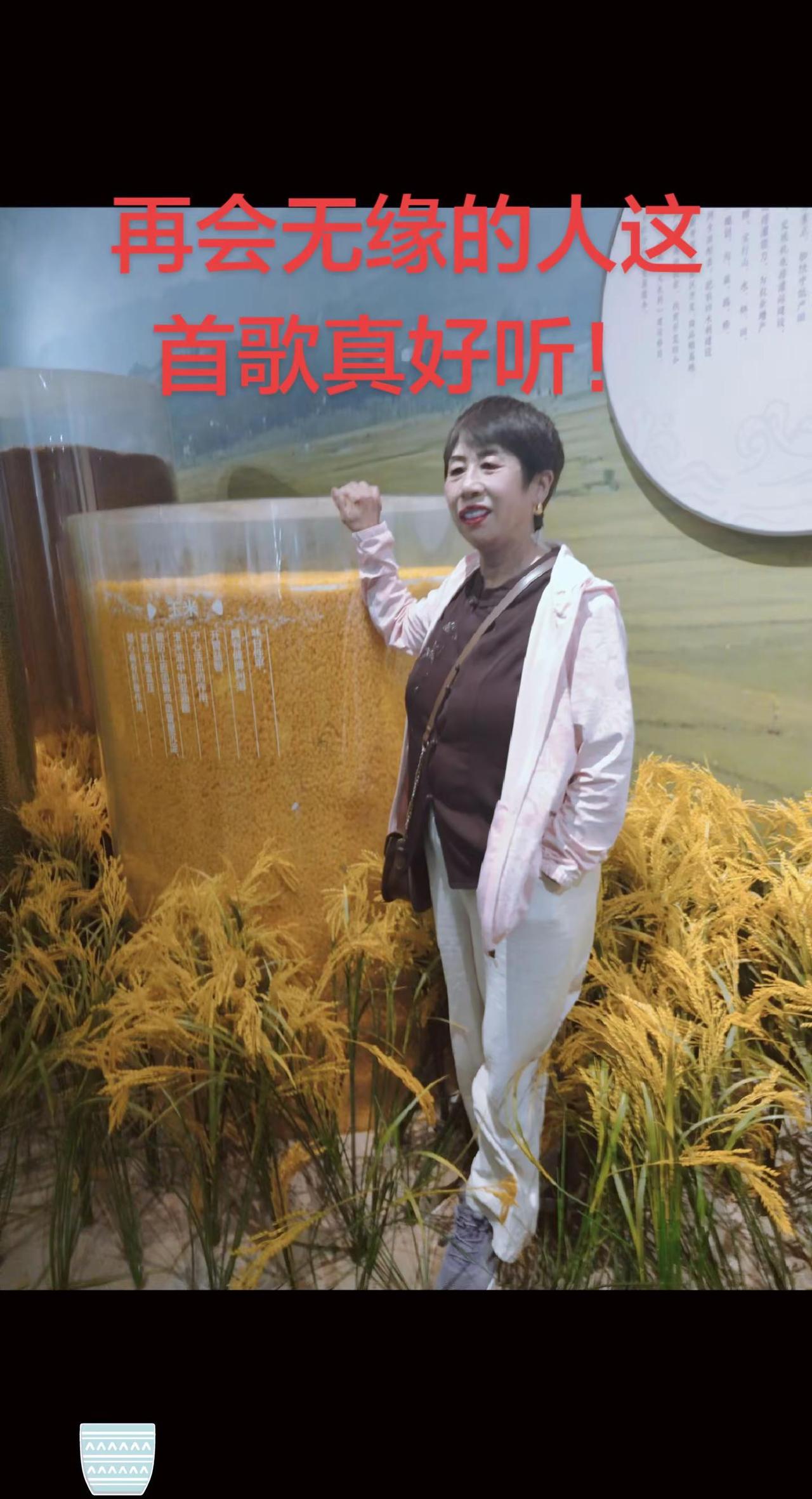 这是哪部电视剧里的歌曲。