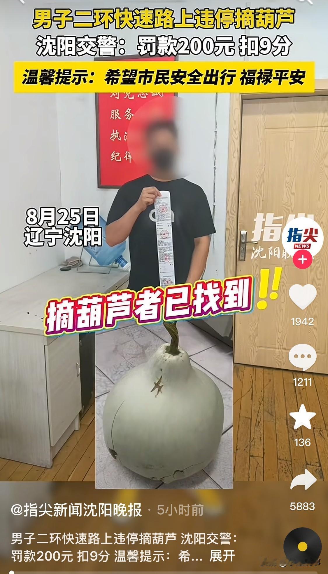 沈阳二环路大葫芦被摘，真的是应了那句话，坏人挖空心思，不如蠢人灵机一动，两口子为