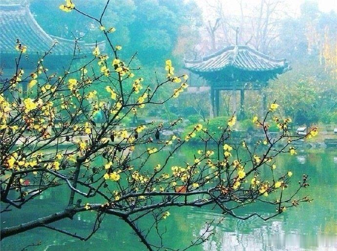 早安 雾锁轻舟，柳拂水岸。雾是江面无形的帘，柳是岸边温柔的弦。舟在烟中静候，风在