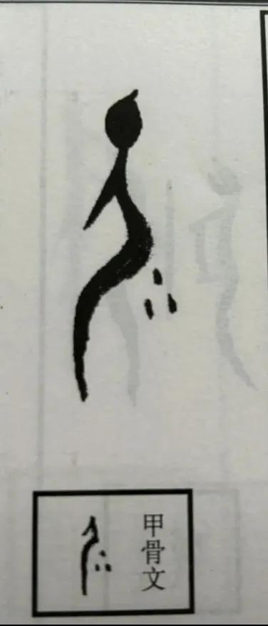 要是突然问你，甲骨文难不难？你肯定会说：“难！”

但是，我想要告诉你的是：甲骨